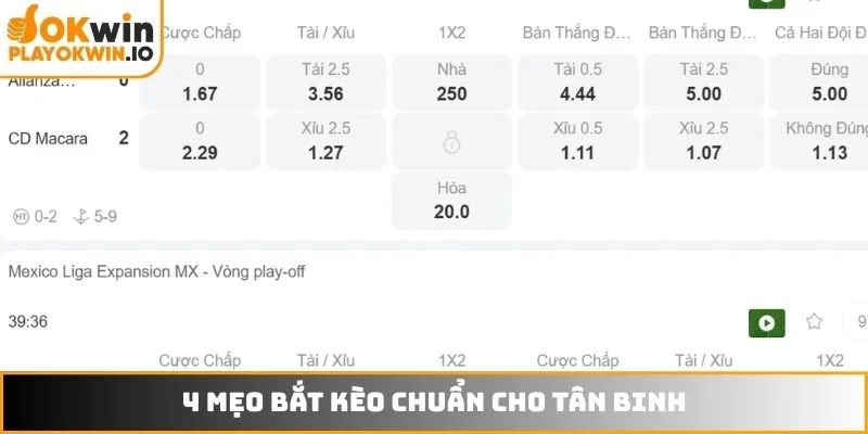 4 mẹo bắt kèo chuẩn cho tân binh
