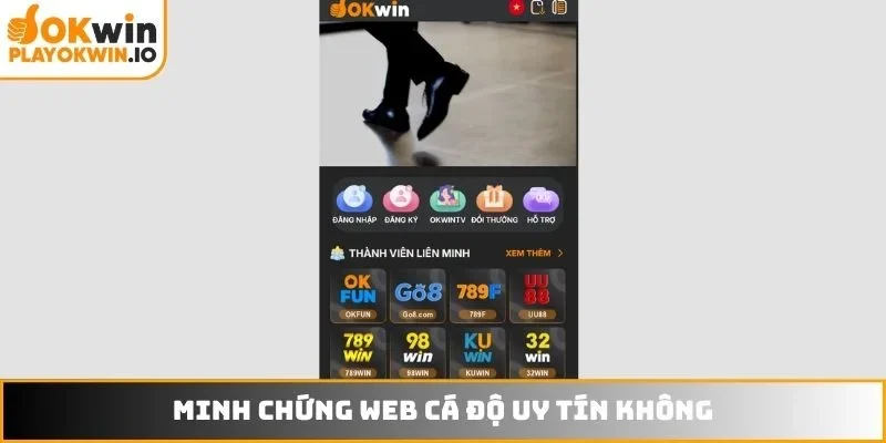 Minh chứng web cá độ uy tín không