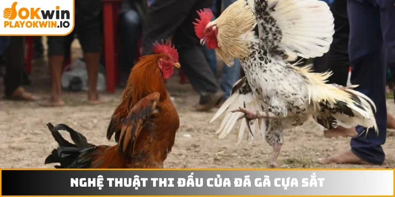 Nghệ thuật thi đấu của đá gà cựa sắt