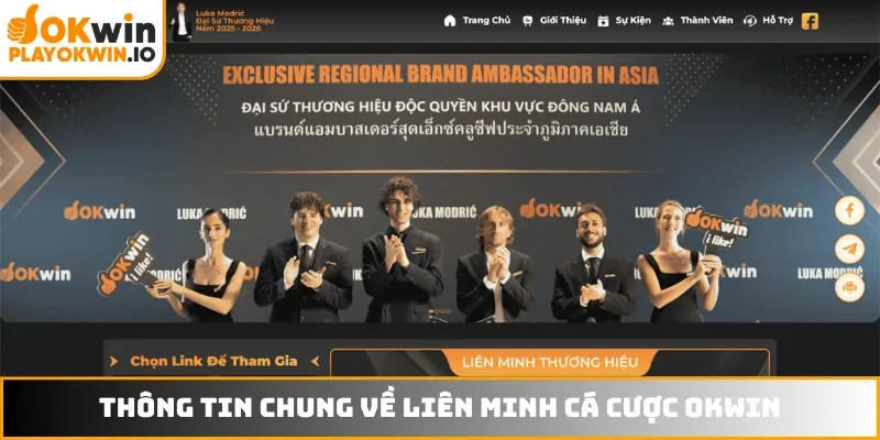 Thông tin chung về liên minh cá cược OKWIN